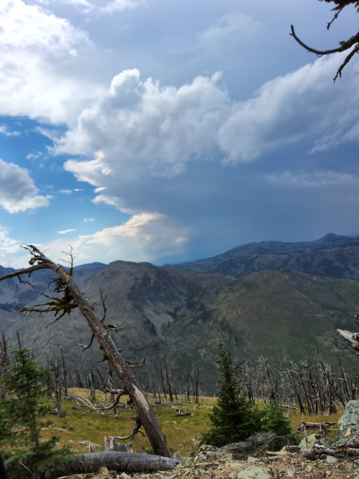 Seven Devils Trail