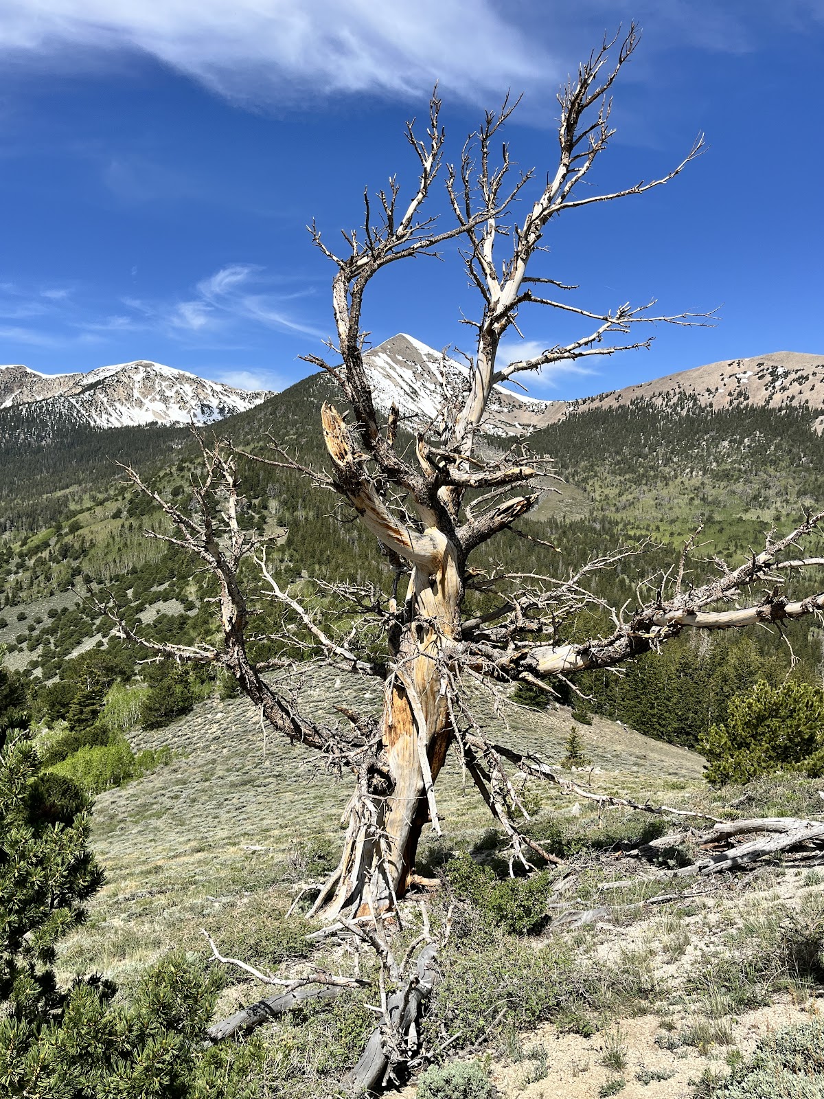 Snake Range