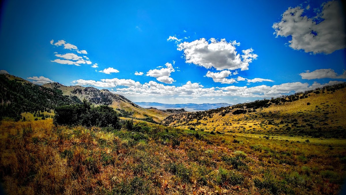 Schell Range