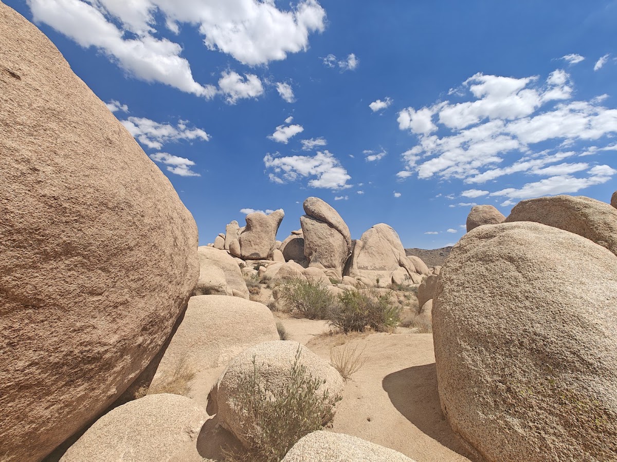 Arch Rock Trail