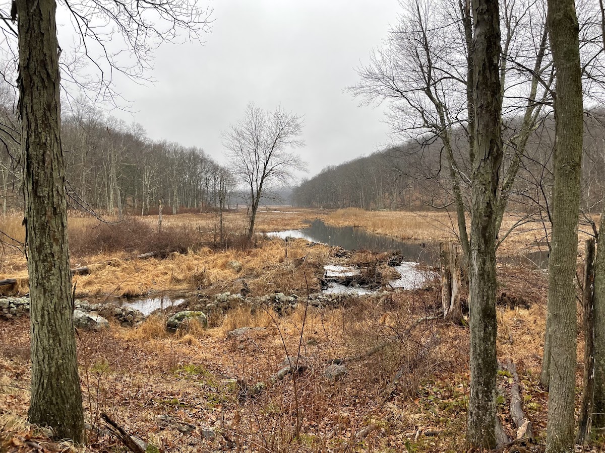 Bennett's Pond State Park