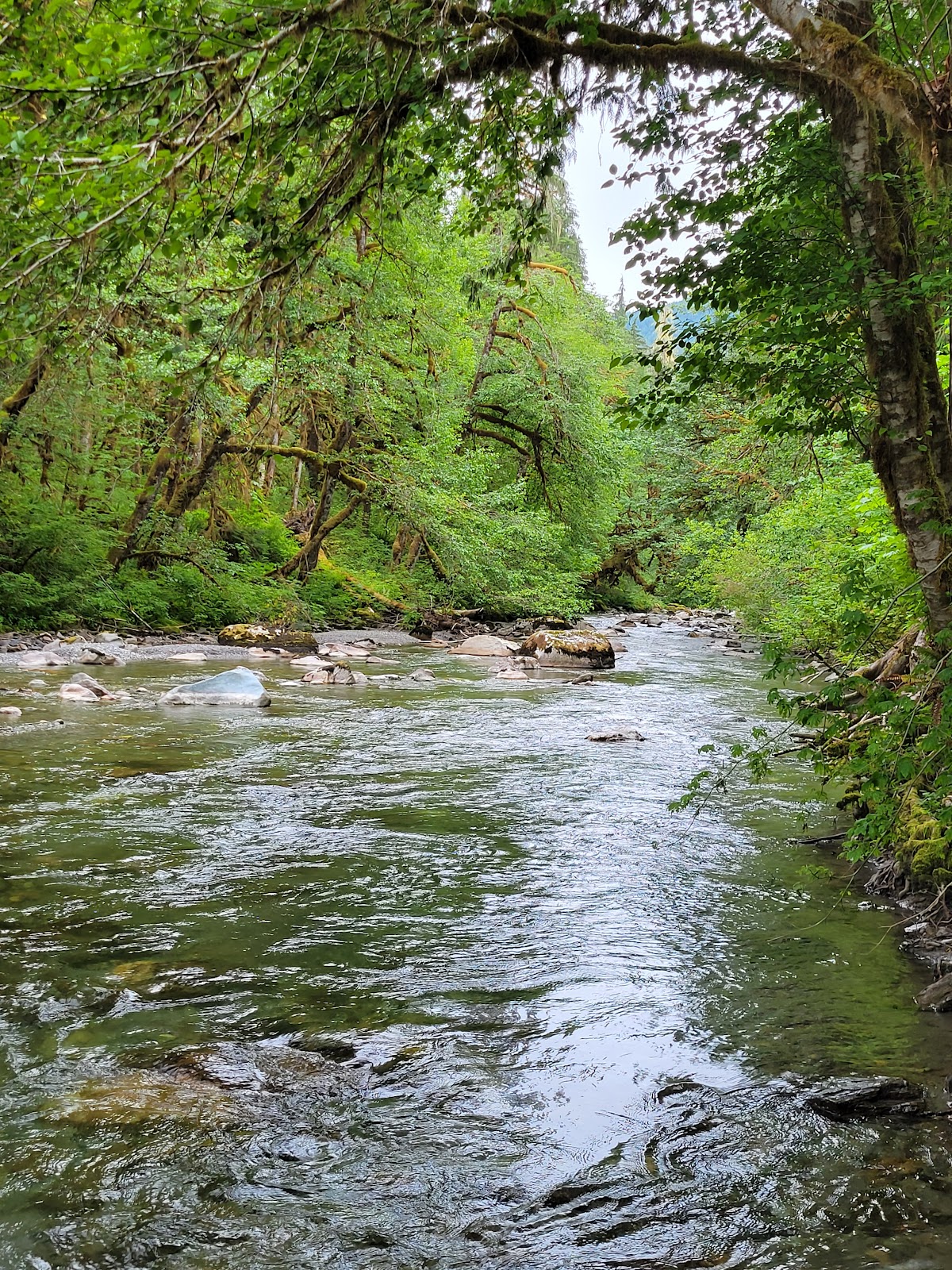 Finney Creek