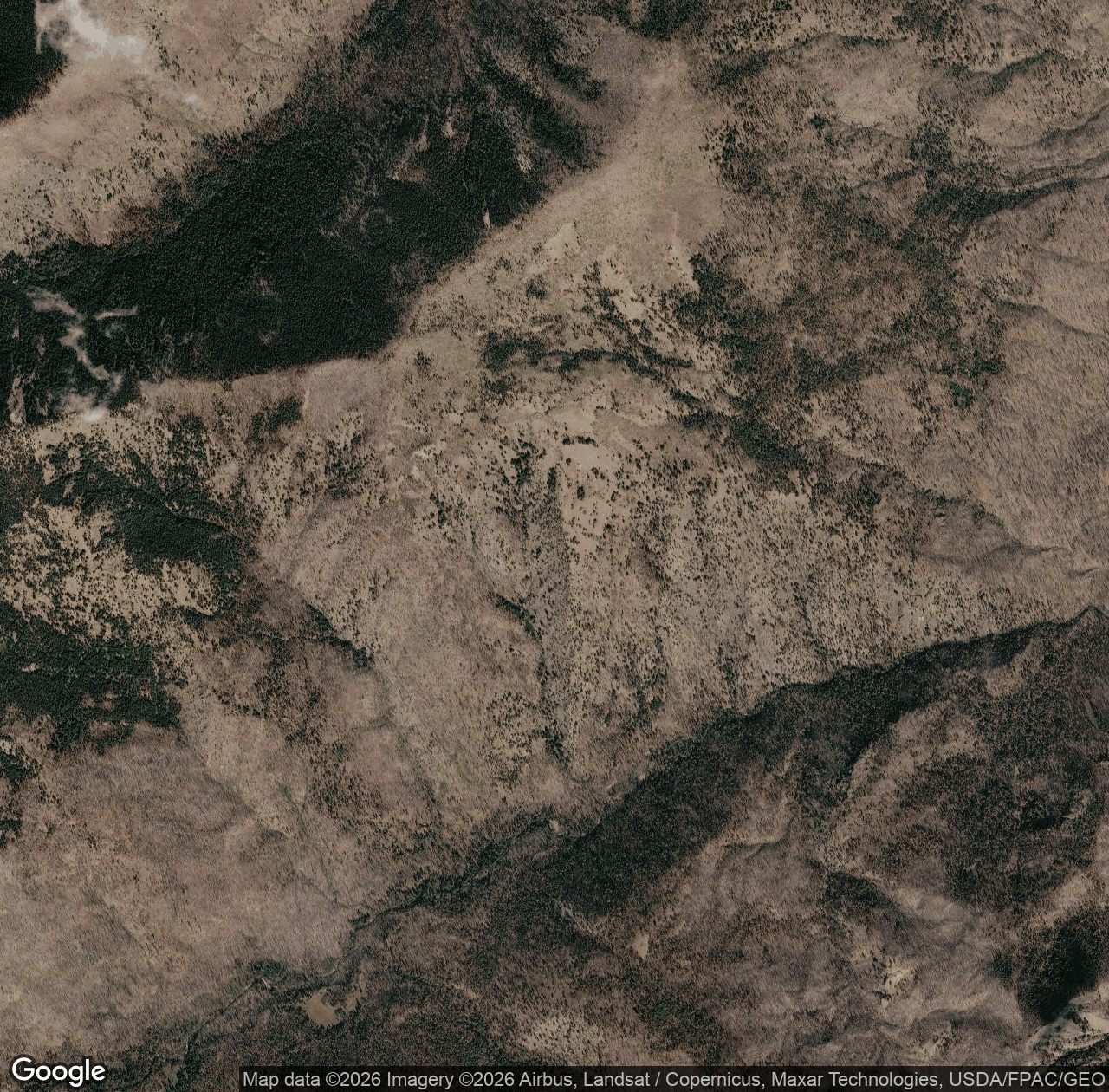 Rattlesnake Trail