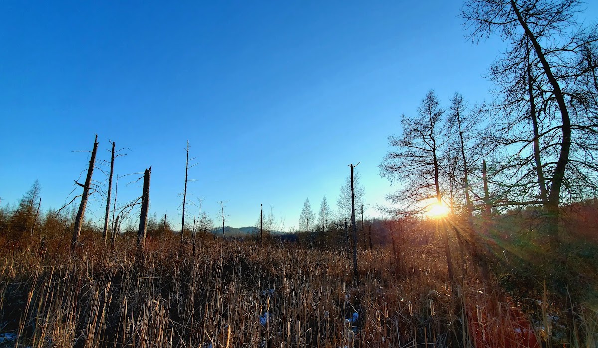 Tamarack Creek Wildlife Area