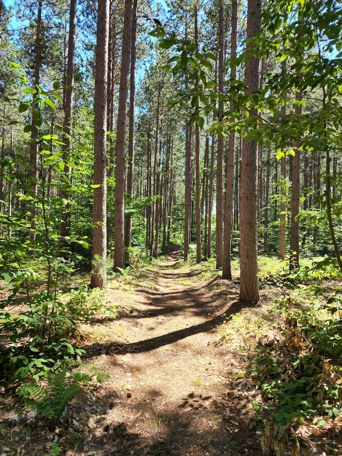 Indian Lake Pathway - Loop 3