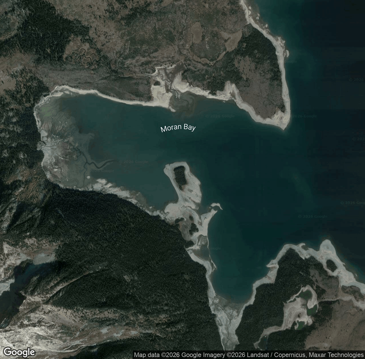 Grassy Island