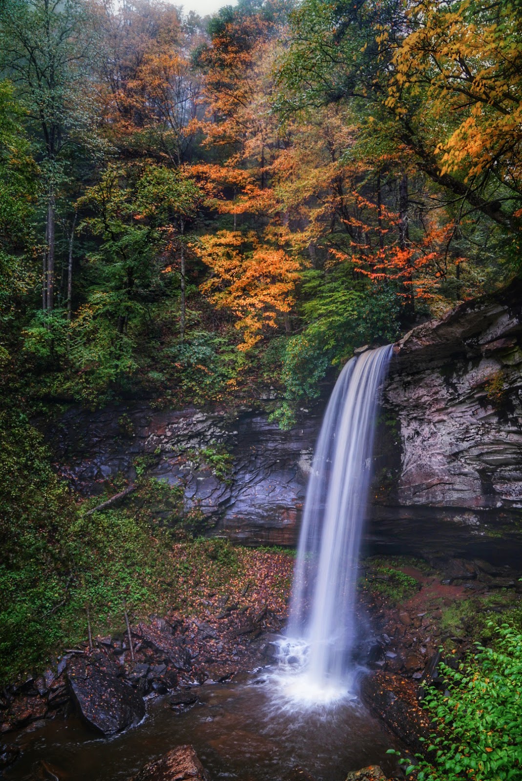Hills Creek