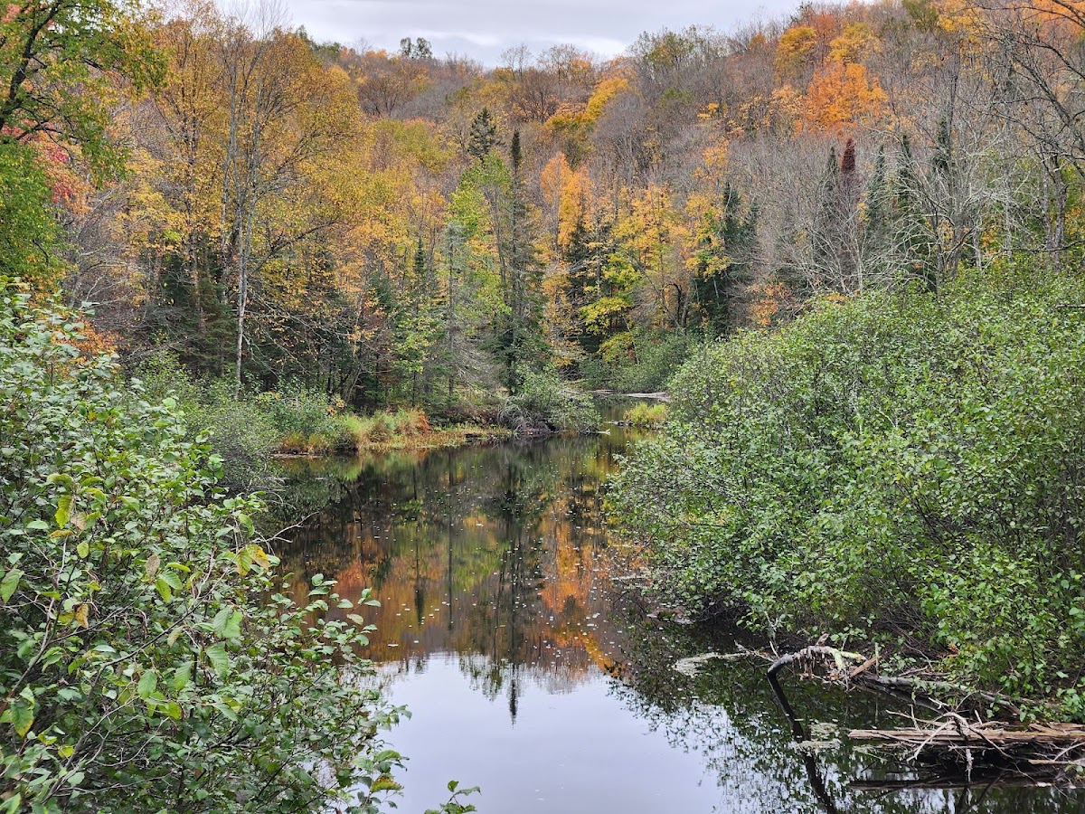 Brunsweiler River
