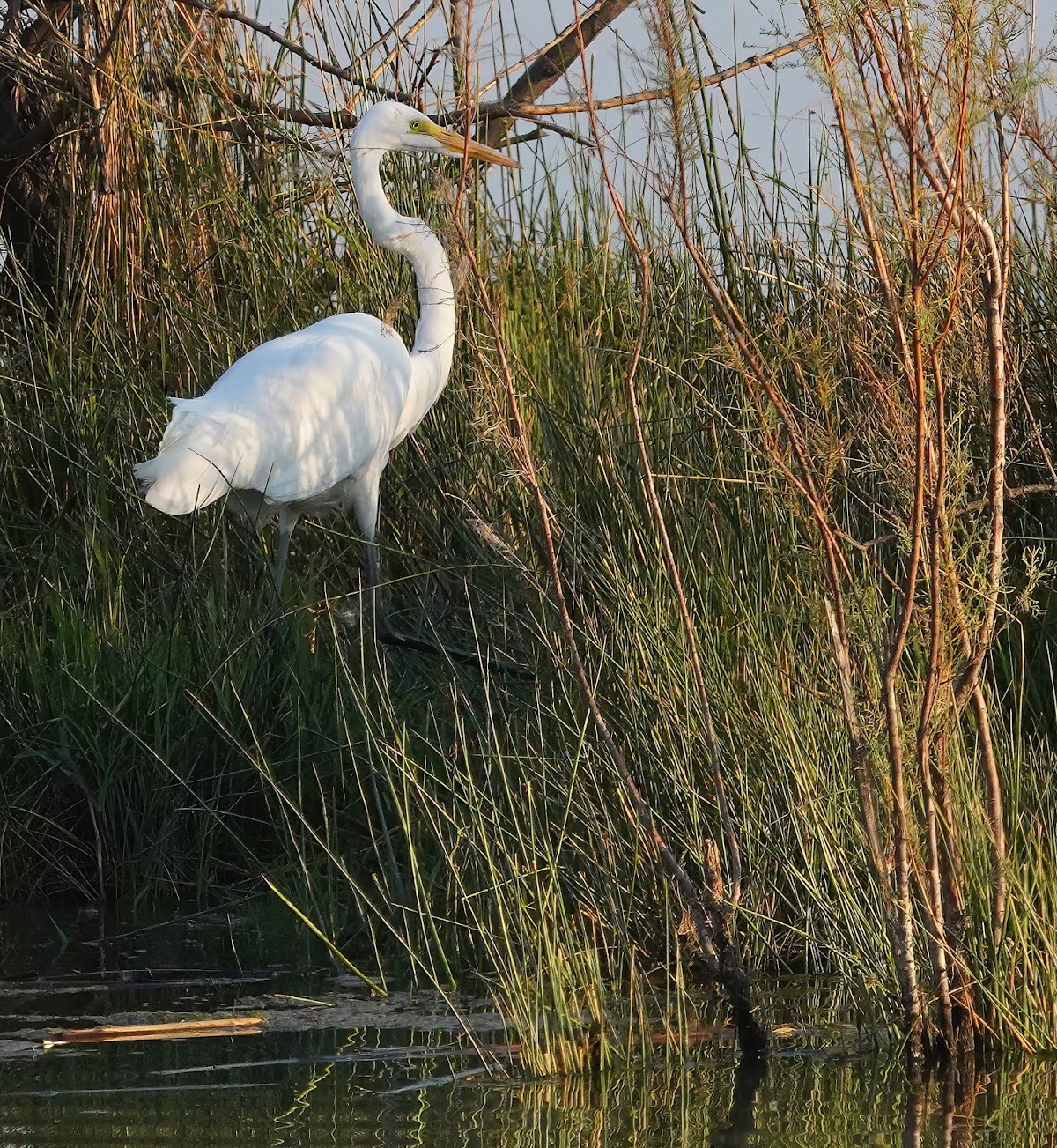 Harmon Resevoir