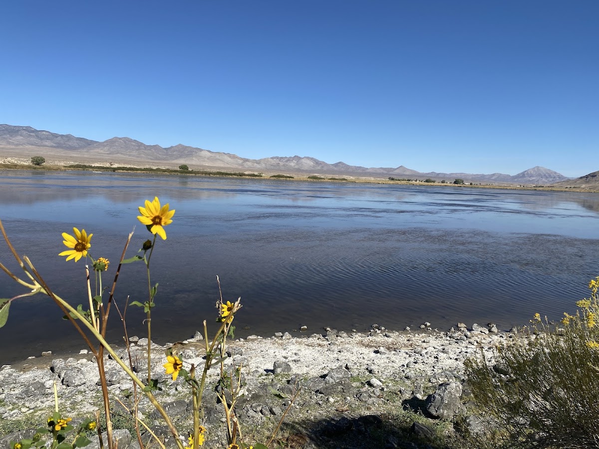 Nesbitt Lake