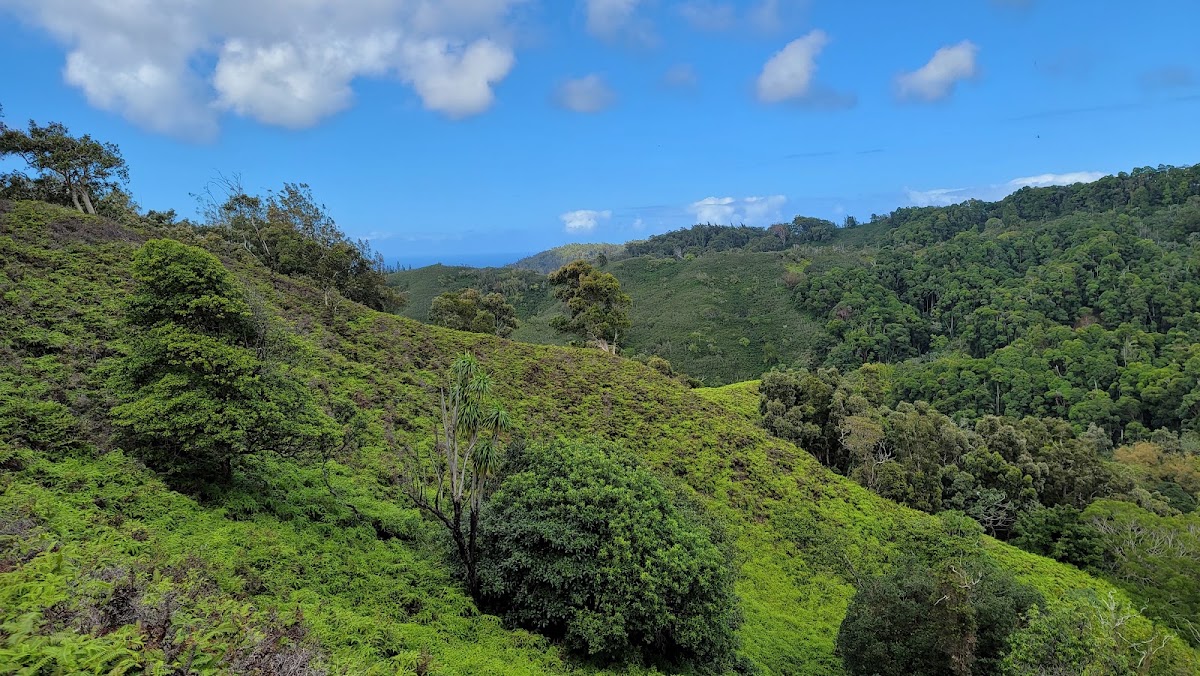 Kaunala Trail