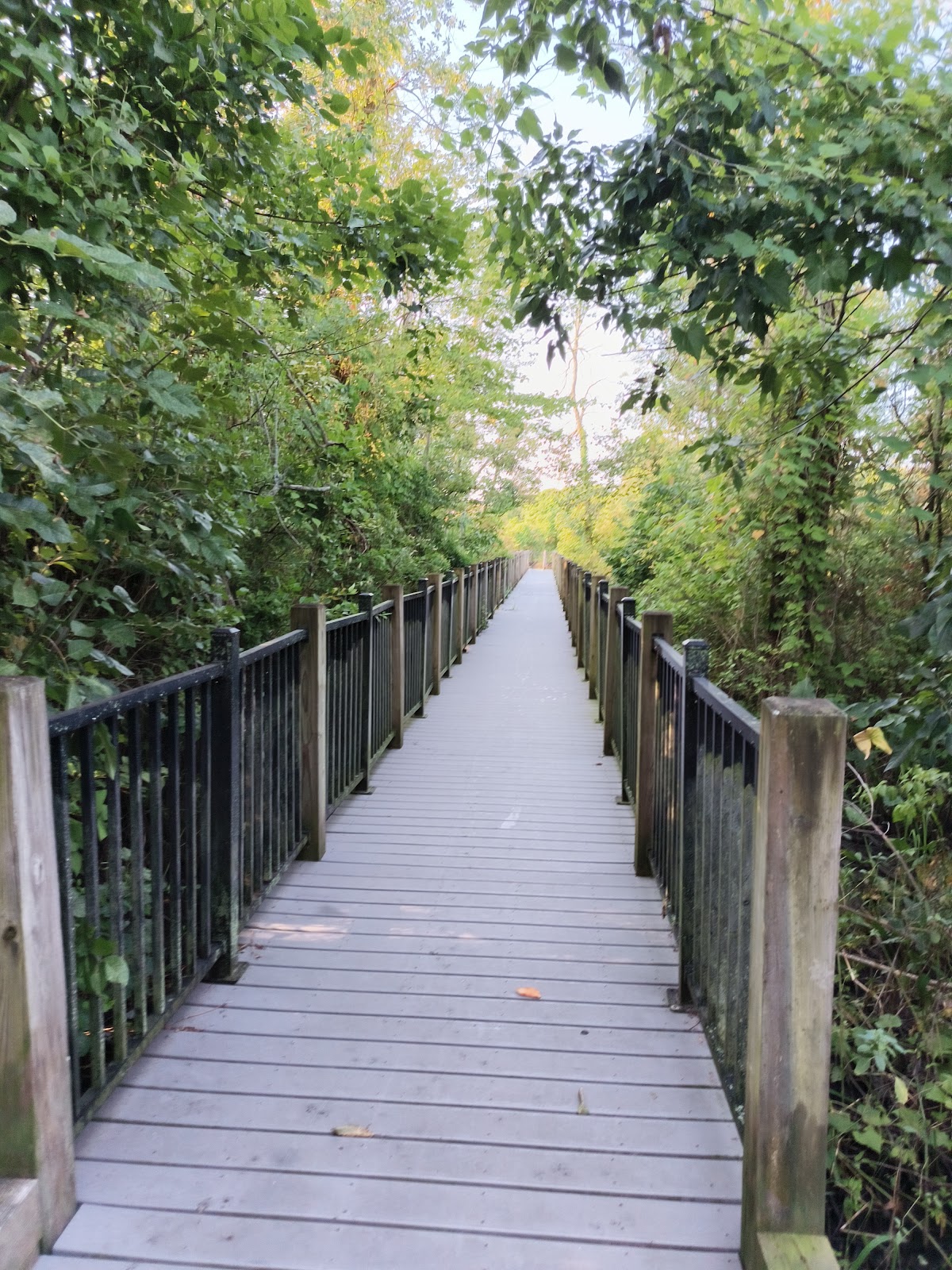 Goat Island Park
