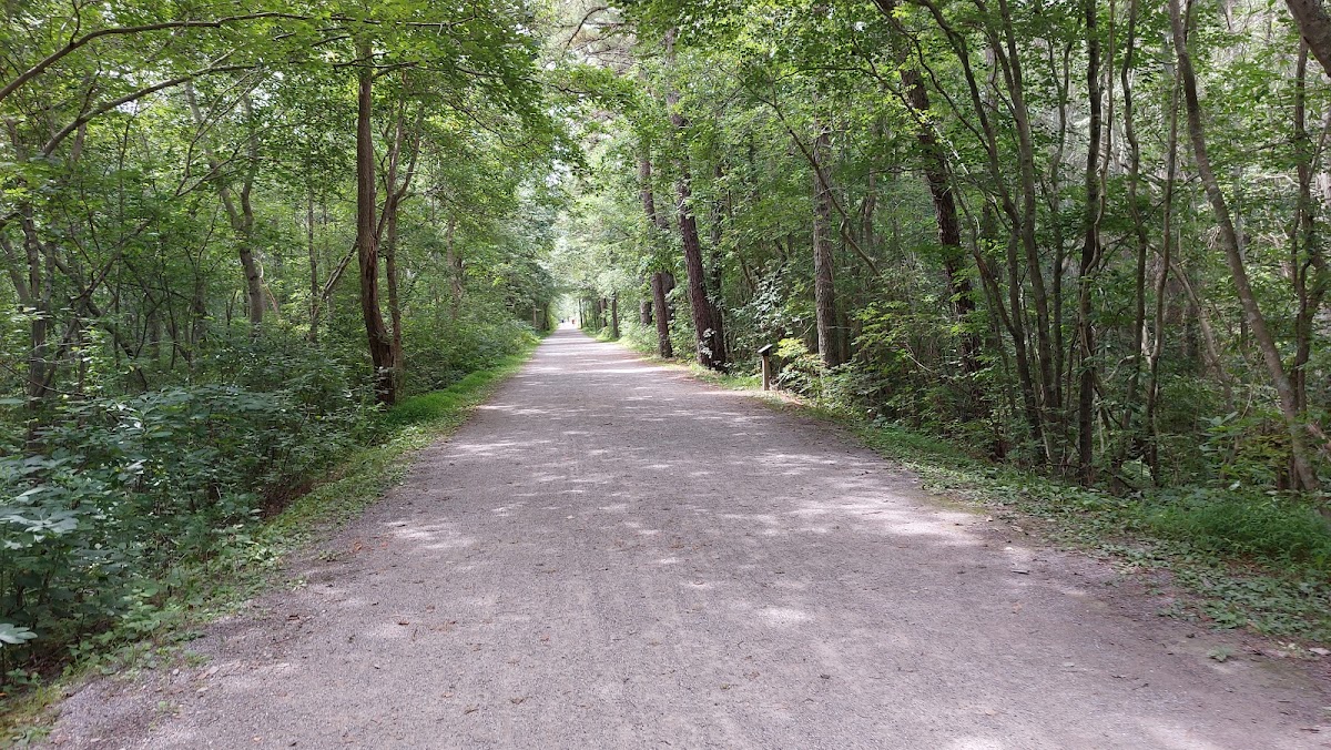 Barnegat Branch Trail