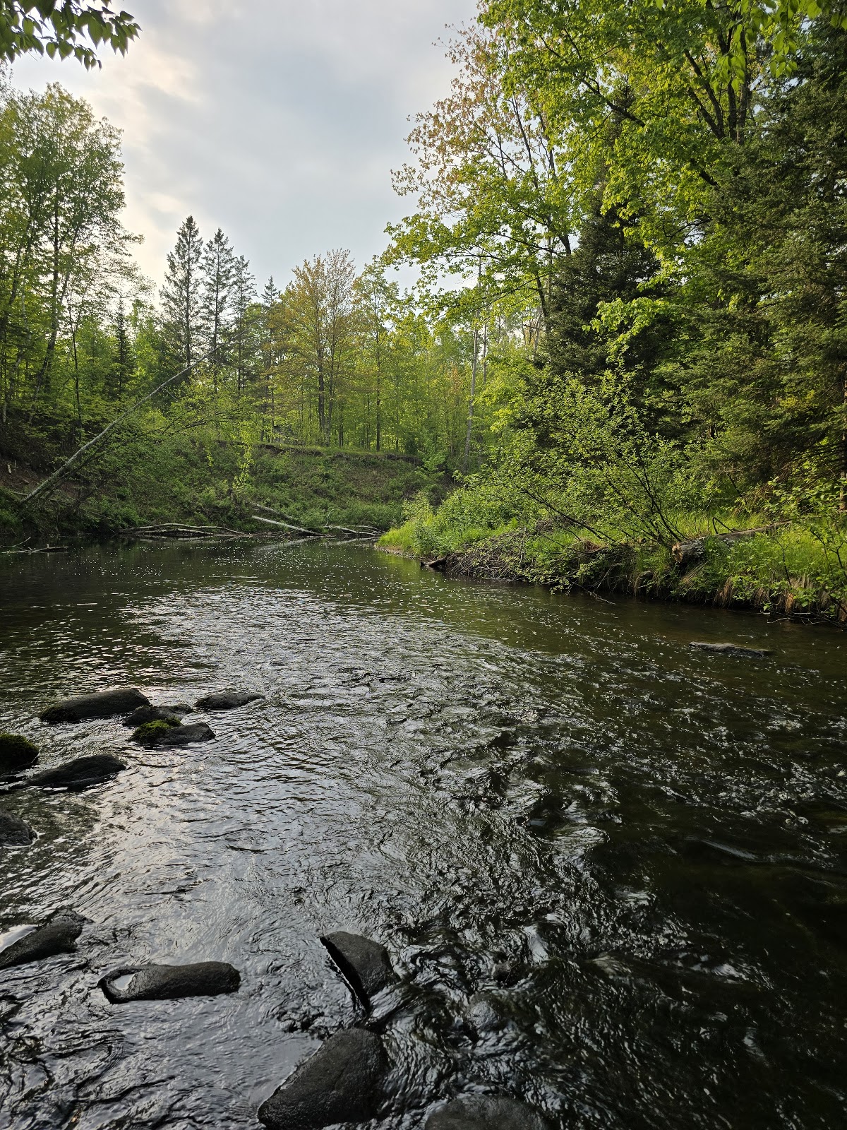 Marengo River