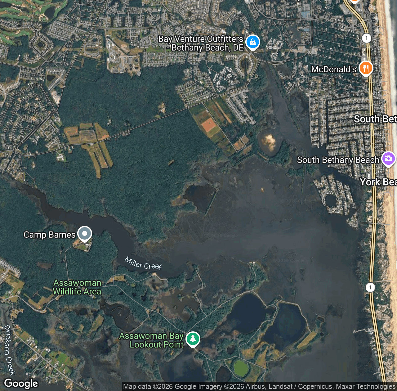 Muddy Neck Pond