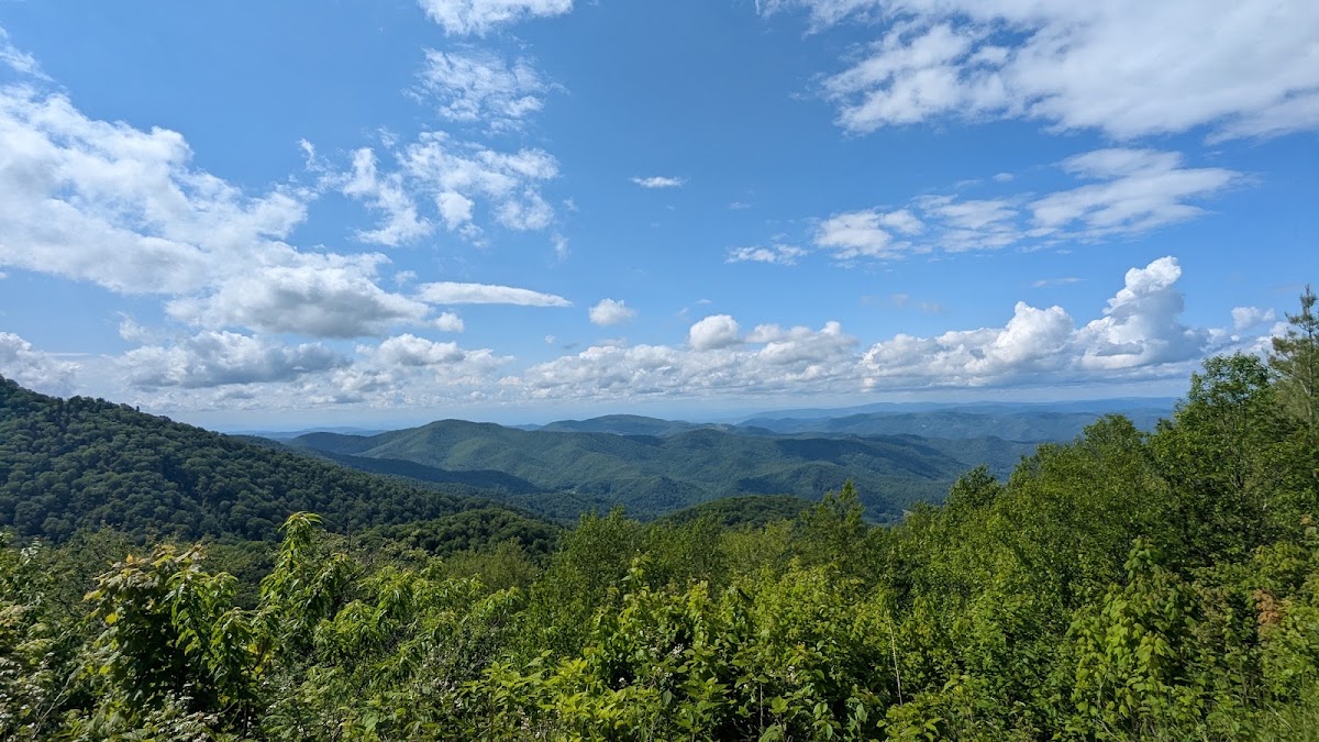 Roan Massif Spruce-Fir Forests