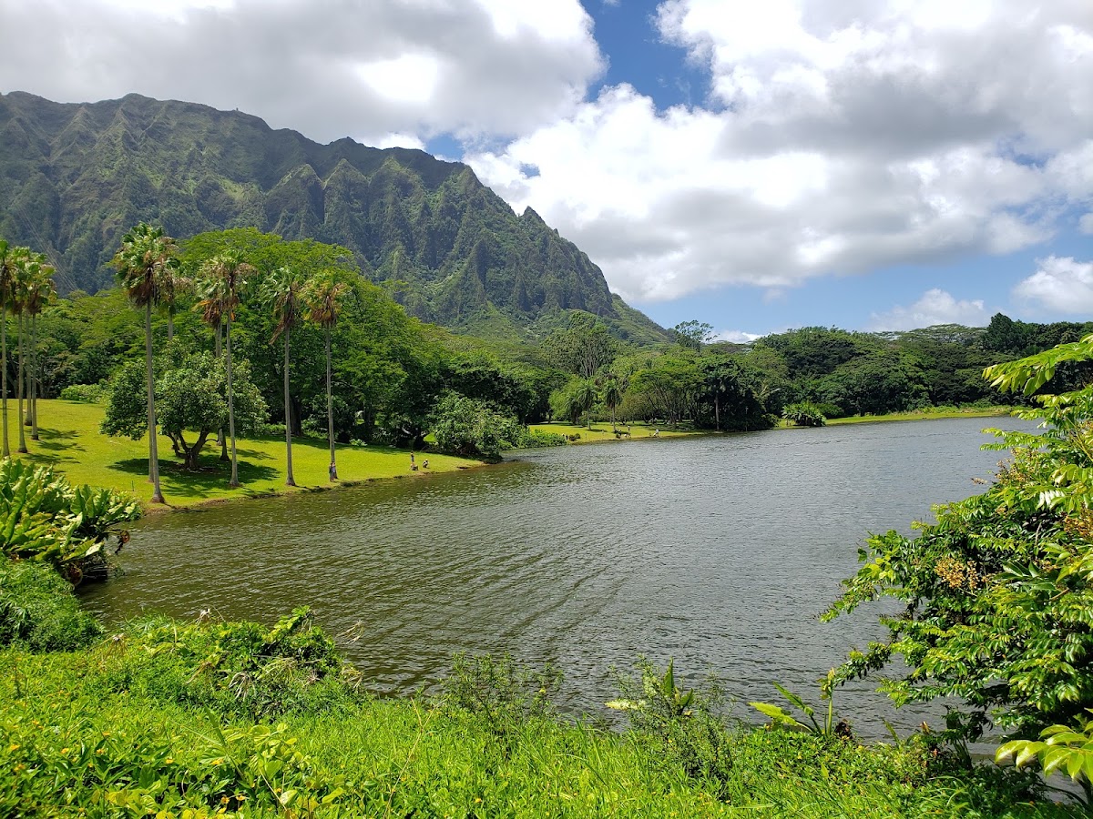 Loko Waimaluhia
