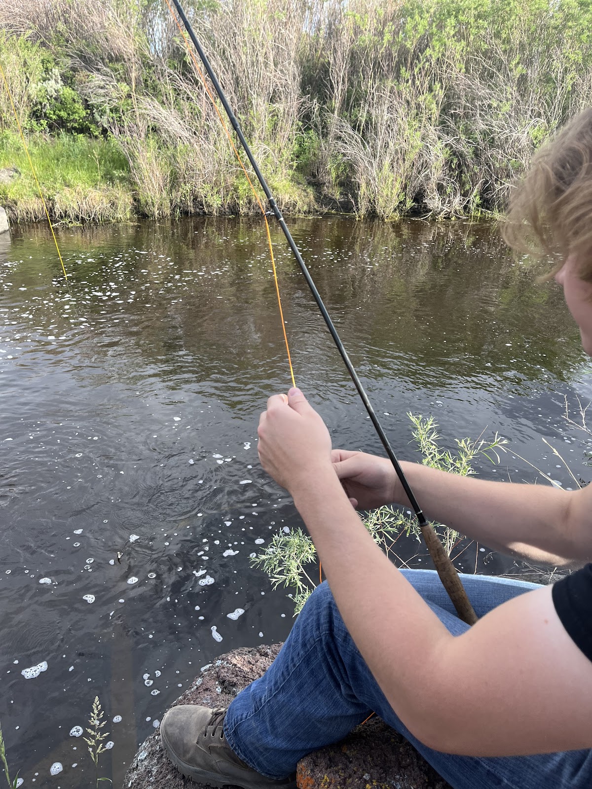 North Fork Humboldt River