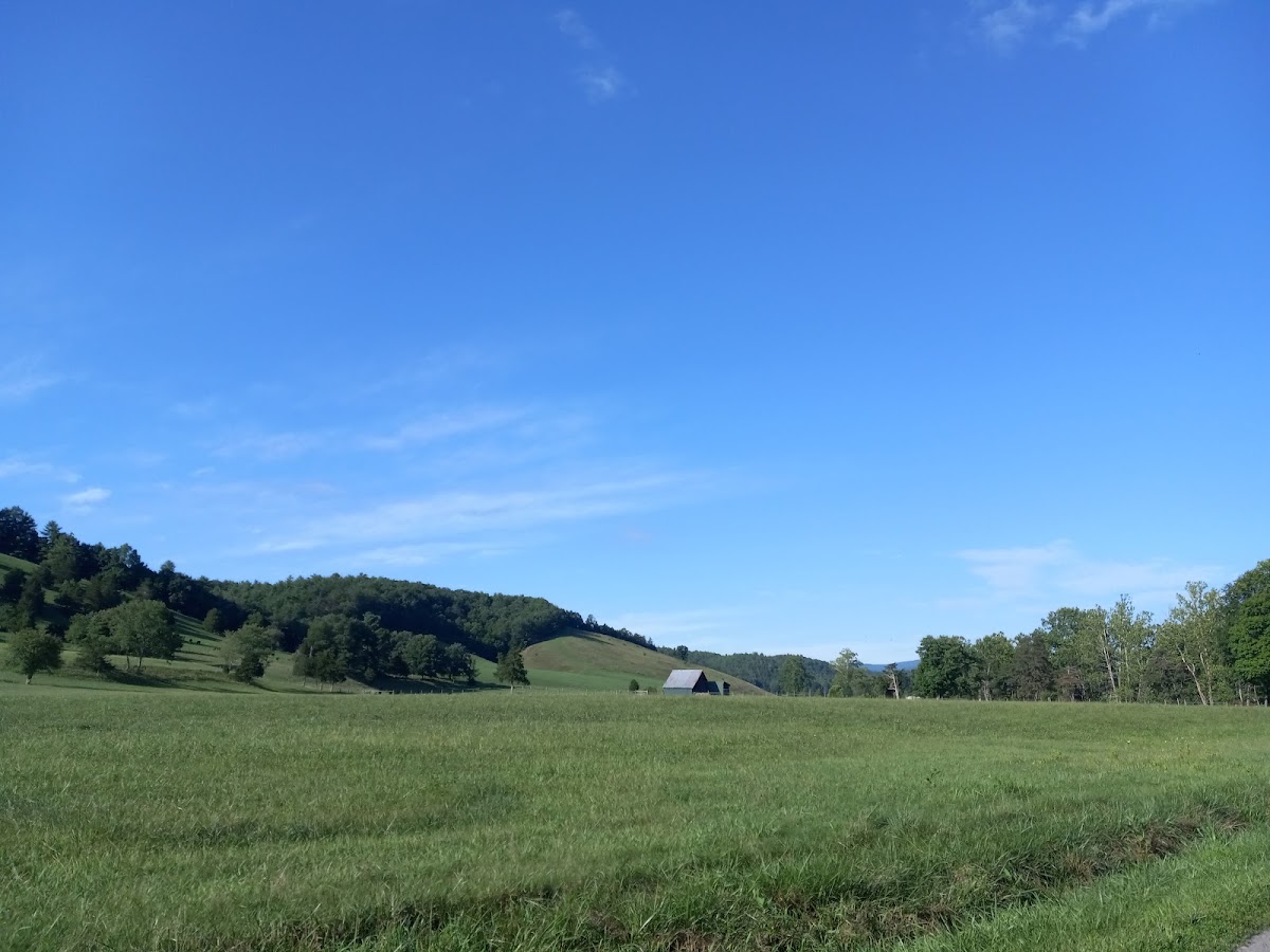 Kimberling Creek