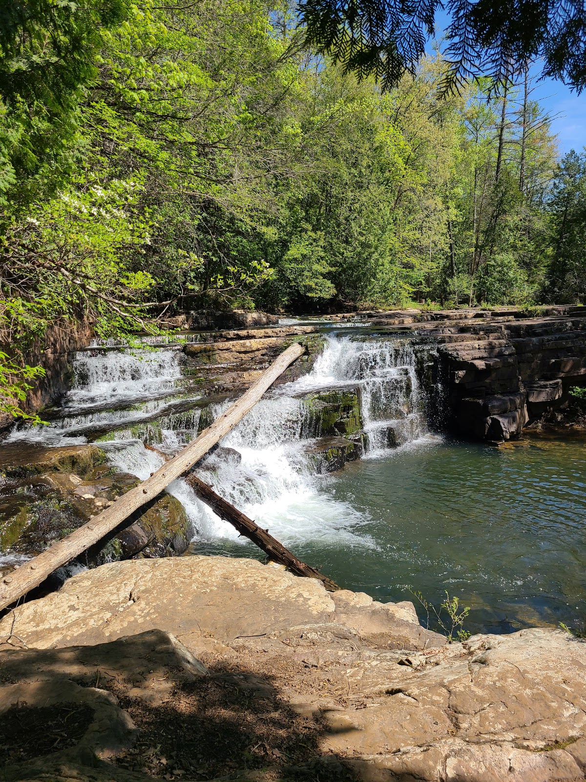Dismal Creek