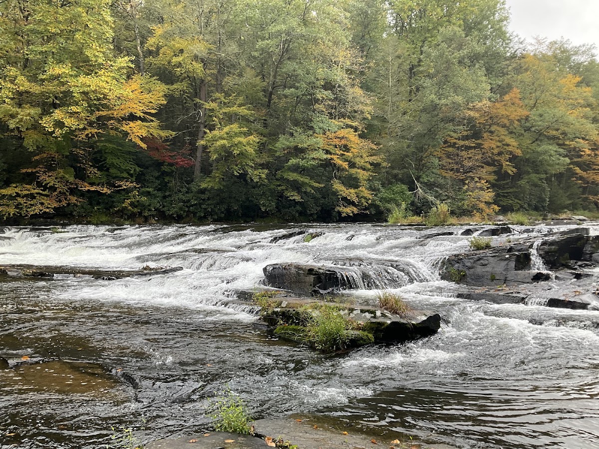 Neversink River