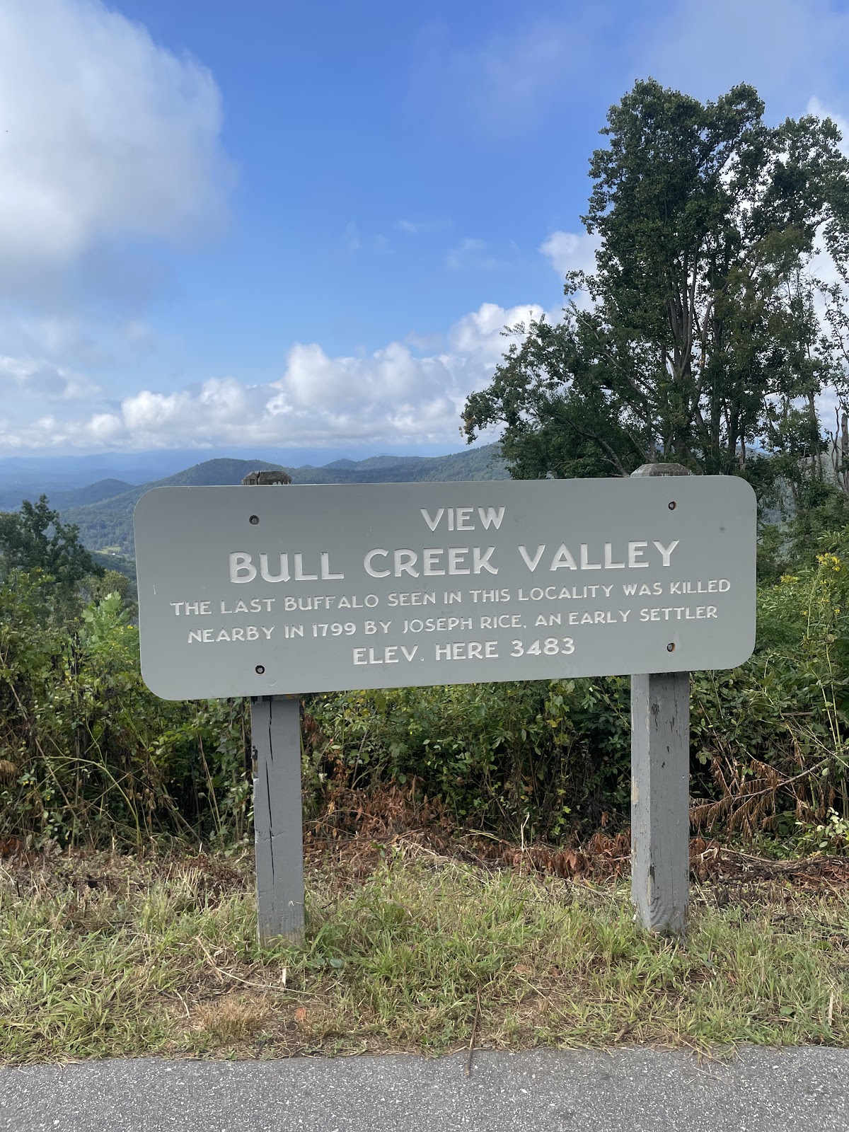 Bull Creek Valley Overlook (MP 373.8)