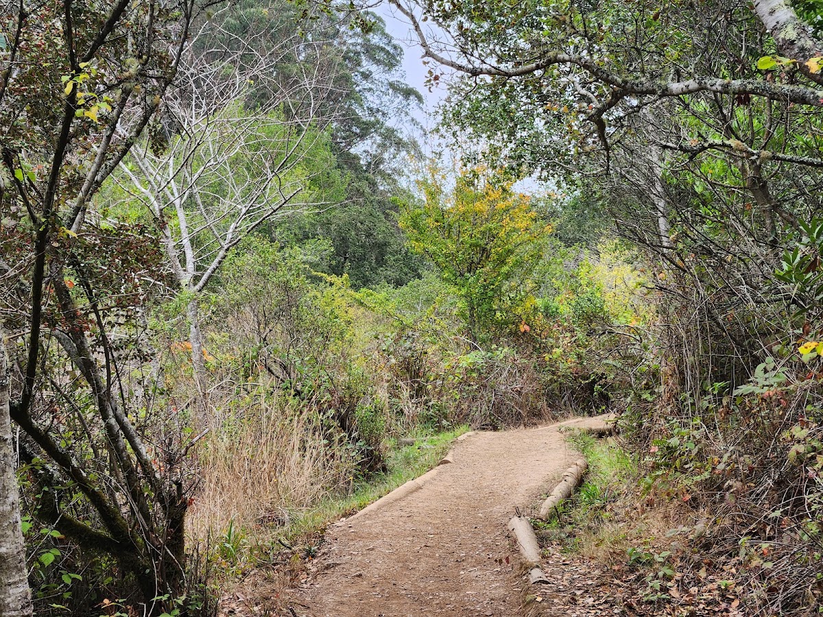 Oakwood Valley Trail
