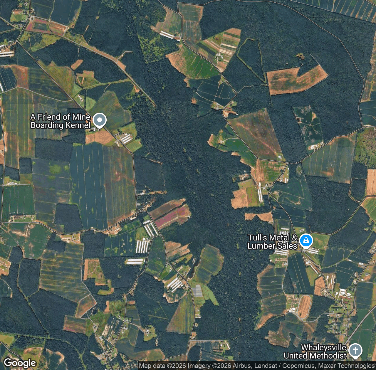 Pocomoke River