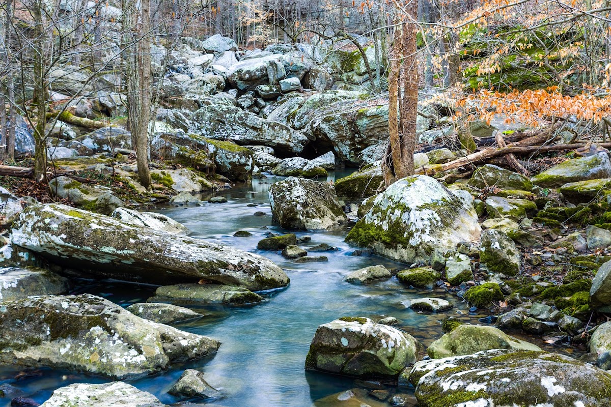Hills Branch