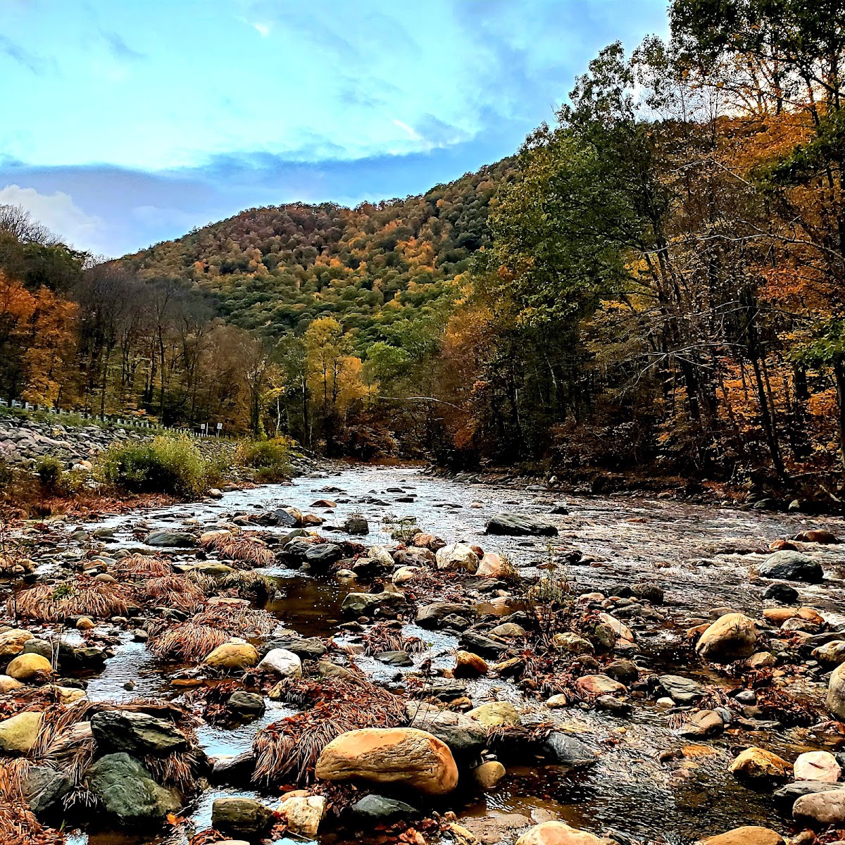 Mohawk Trail State Forest