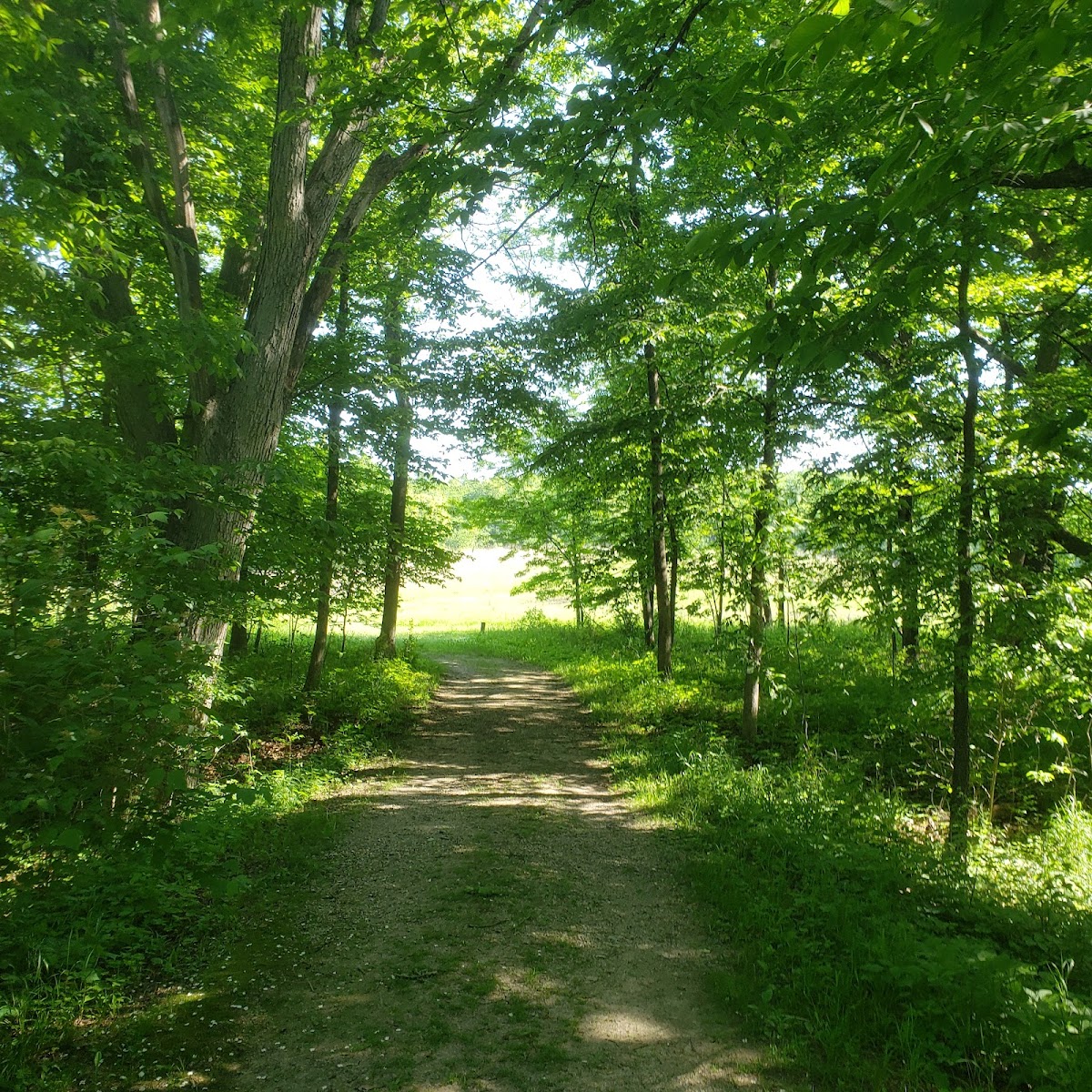 Wickiup Hill Natural Area