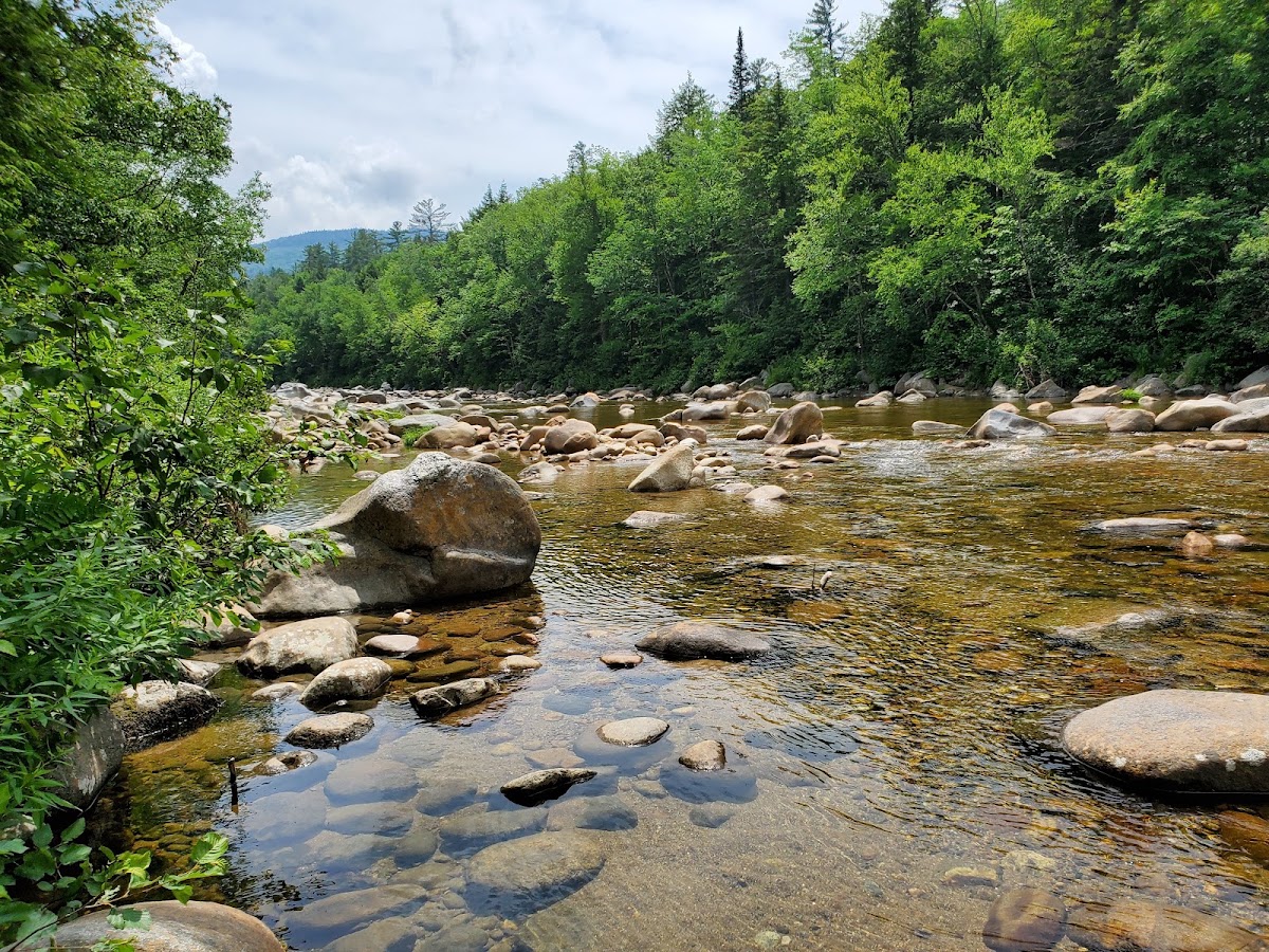Wild River
