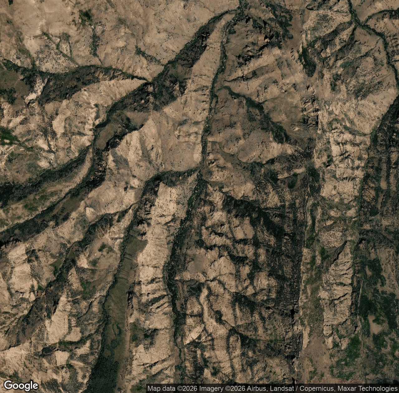 East Fork Jarbidge River