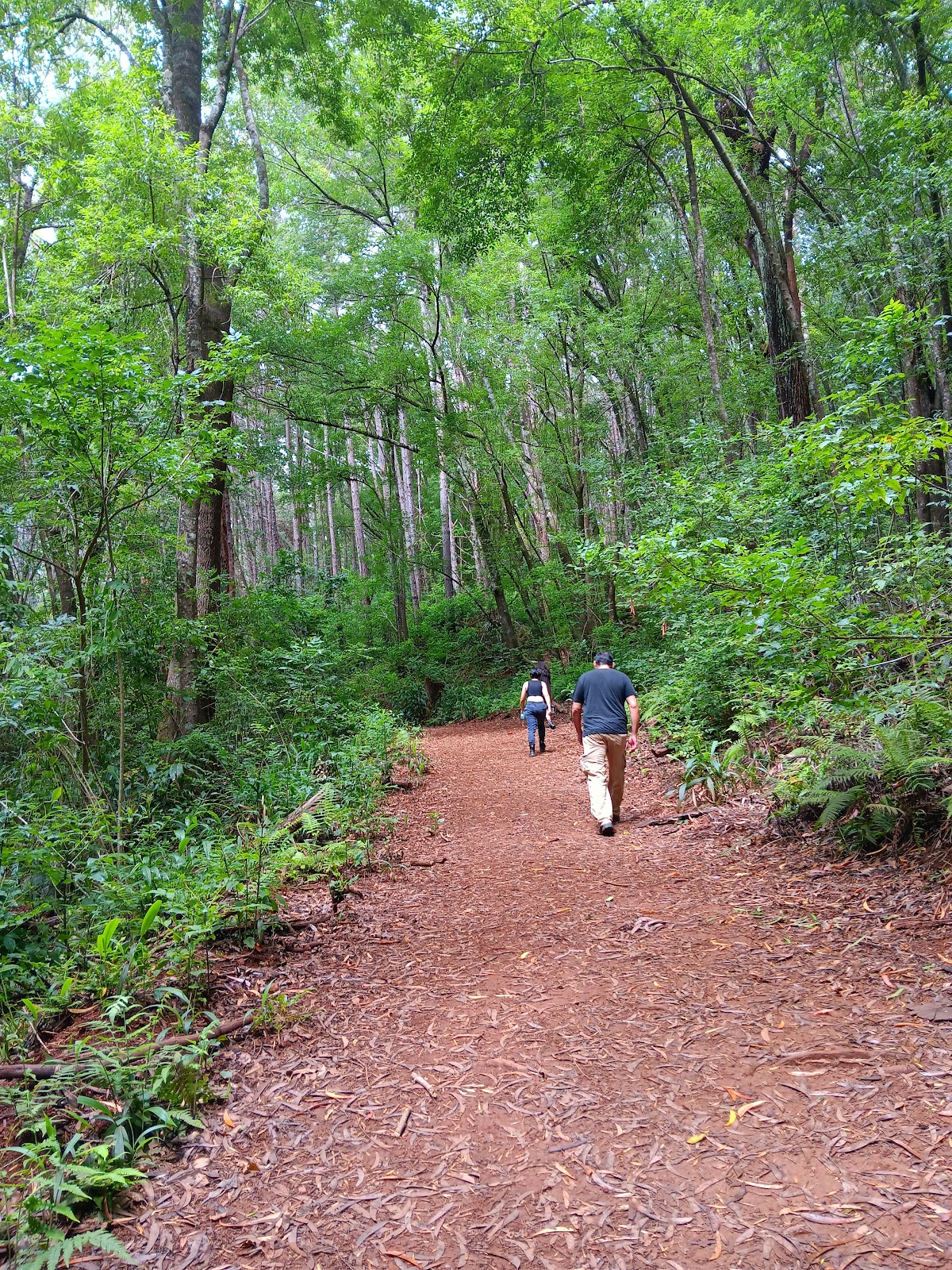 Kahakapao Loop Trail