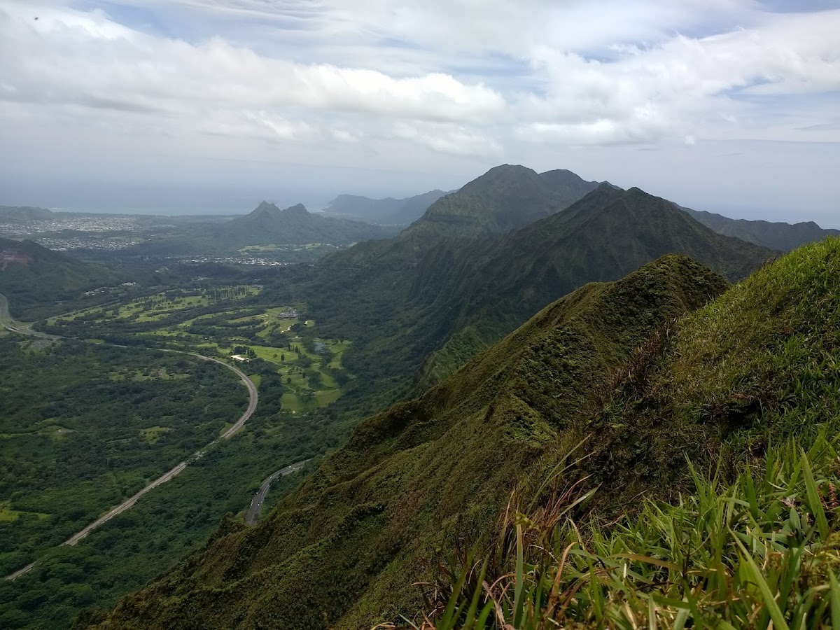 Bowman Ridge Trail