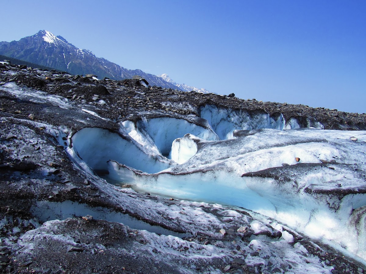 Matanuska Glacier