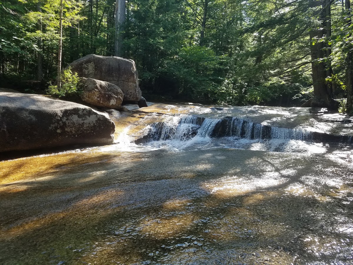 Lucy Brook