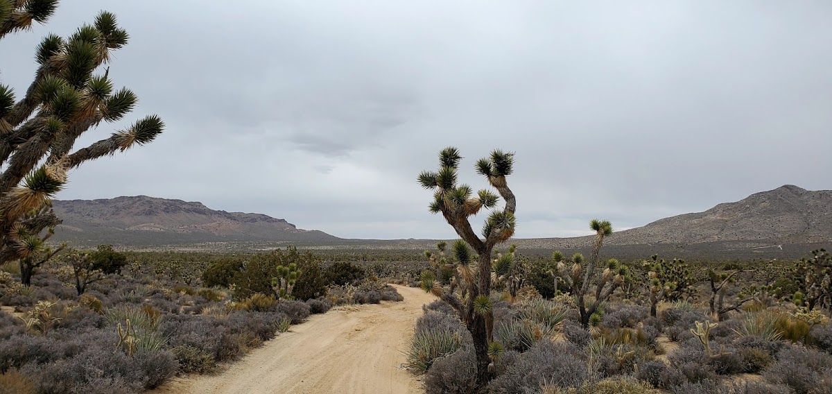 Kessler Peak Road