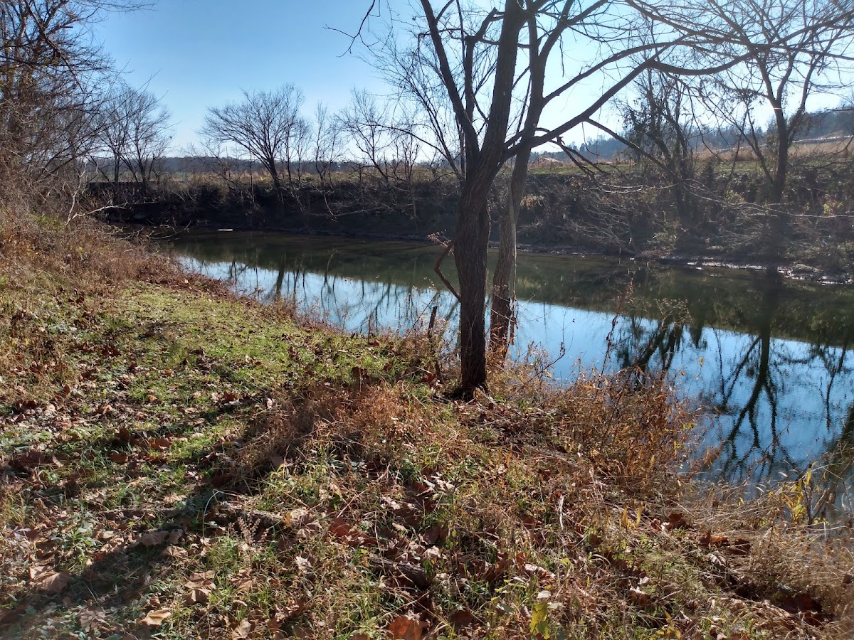 Marrowbone Creek