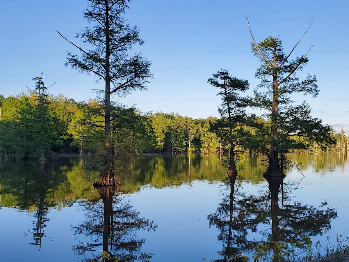 Horseshoe Lake