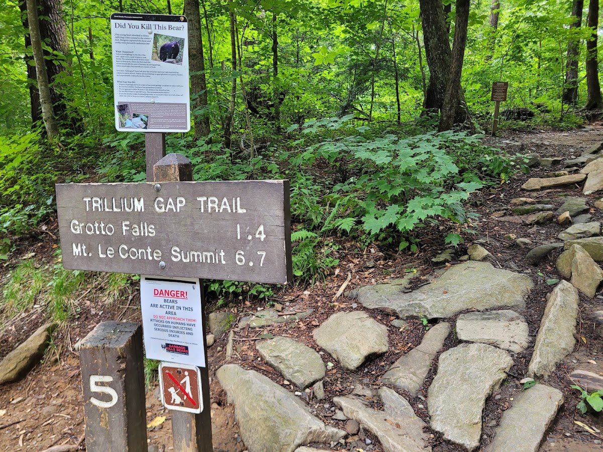 Trillium Gap Trail