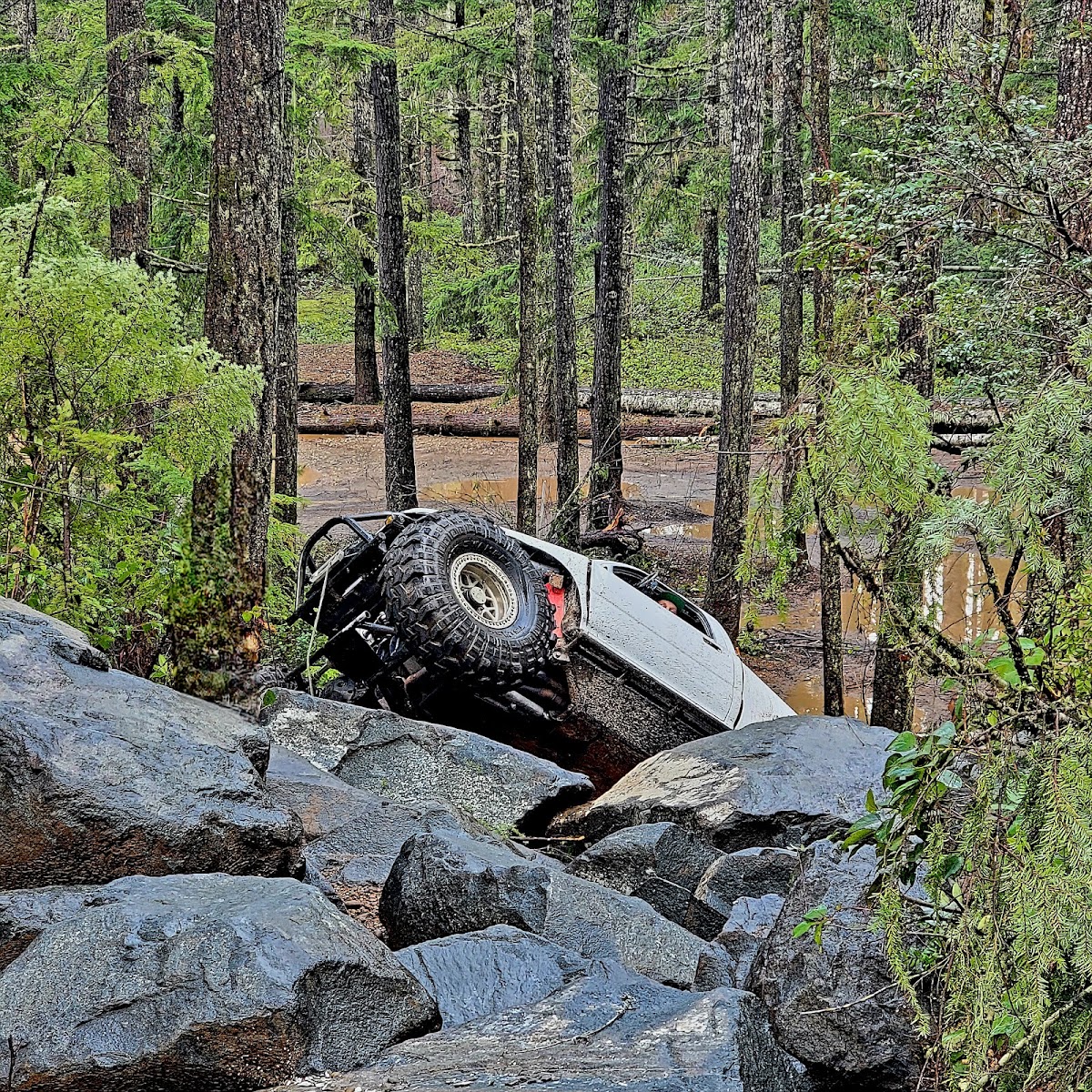 Tahuya State Forest