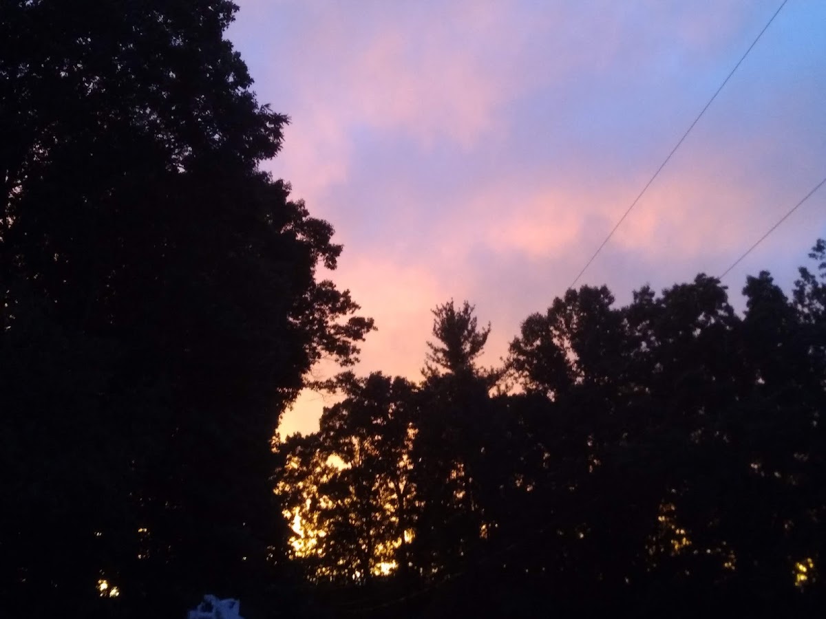Potts Creek