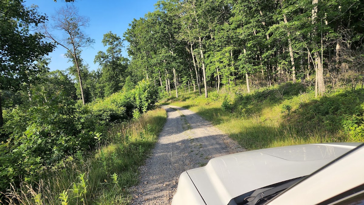 Squirrel Gap Road