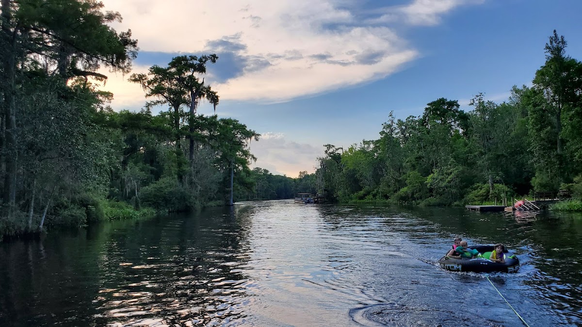 Wakulla River