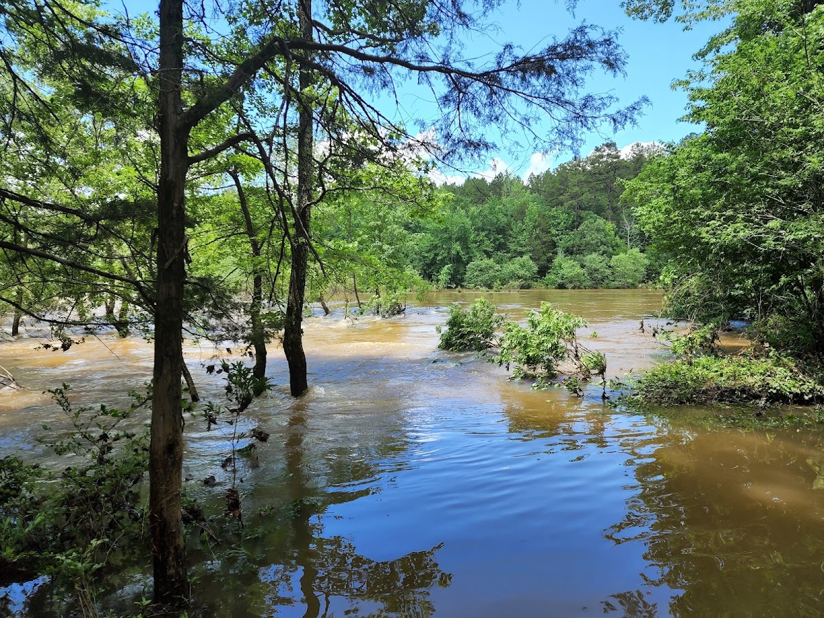 Cove Creek Lake