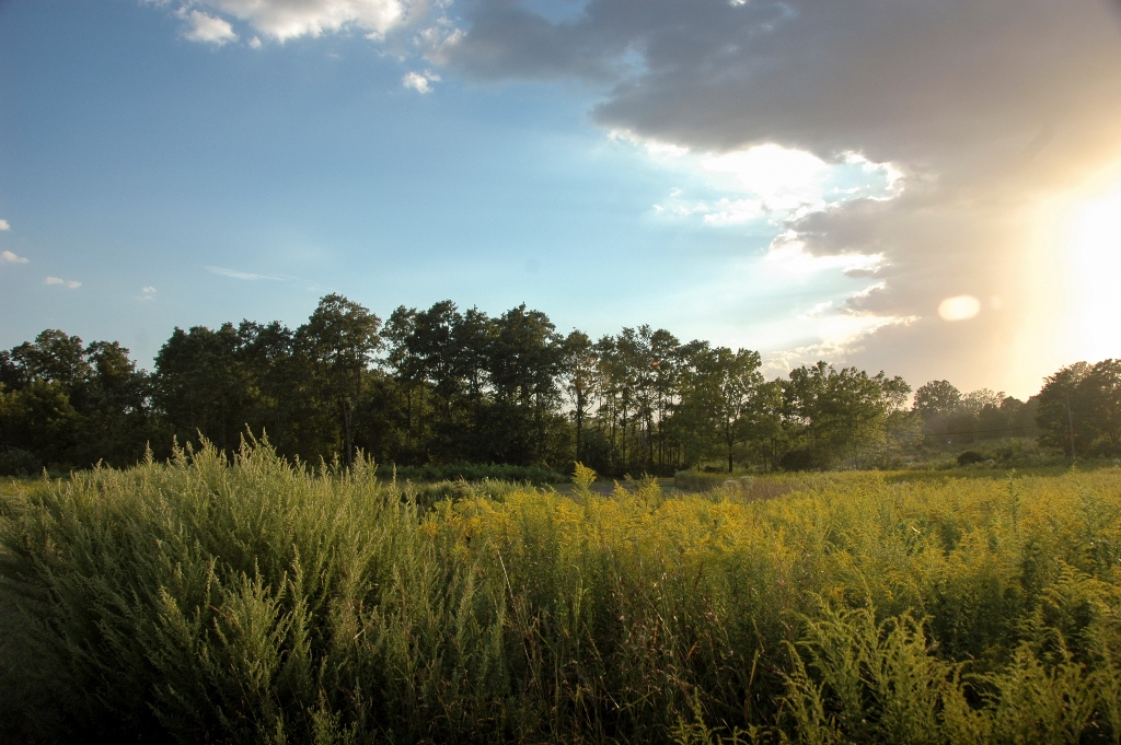 Big Brook Park