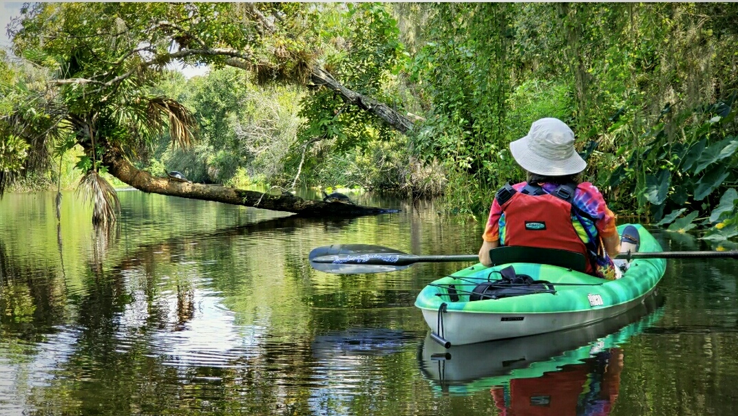 Shell Creek