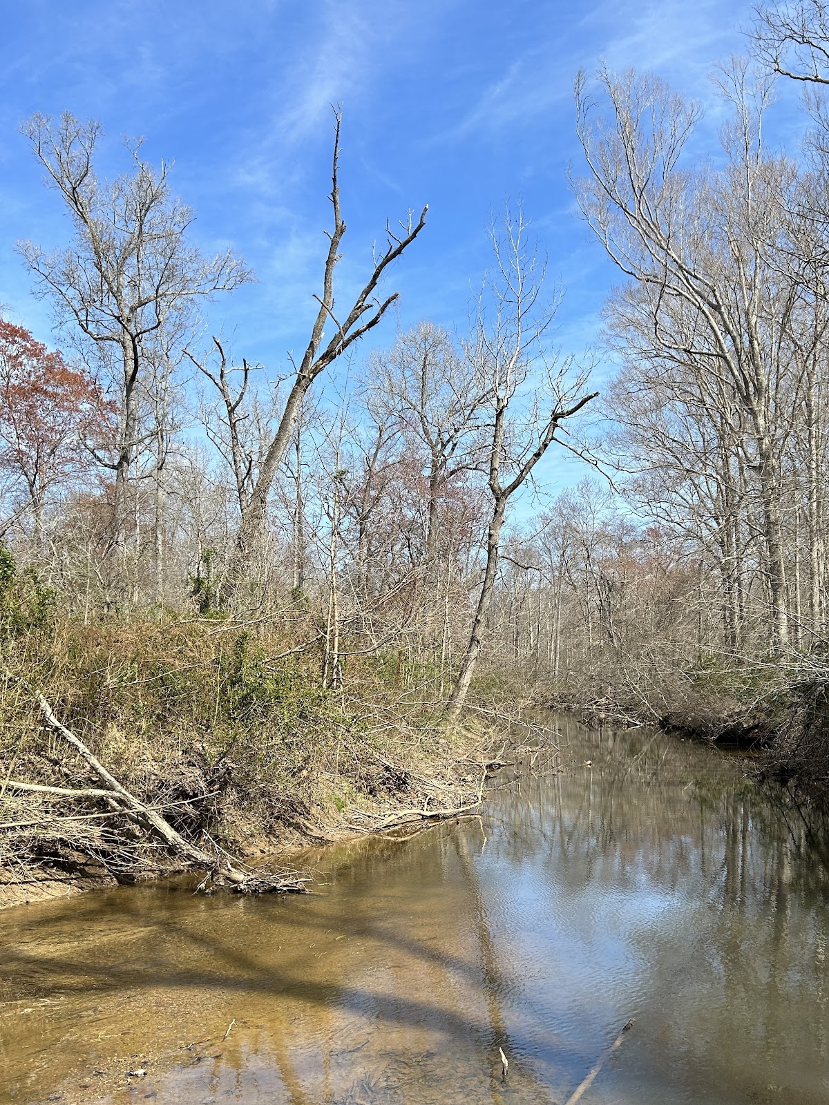 Oakley Forest Wildlife Management Area