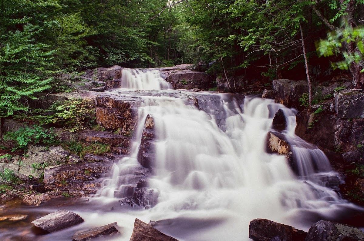 Brown Brook